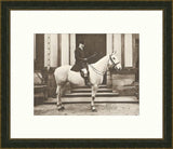 Equestrian I