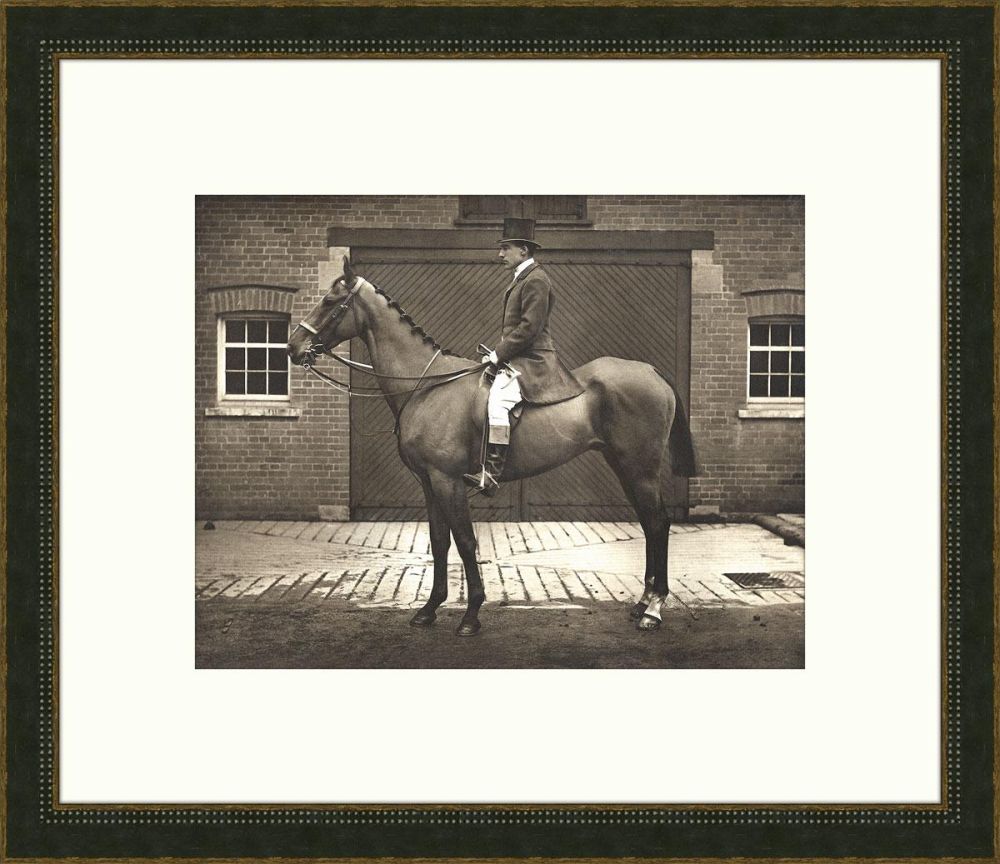 Equestrian II