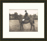 Equestrian III