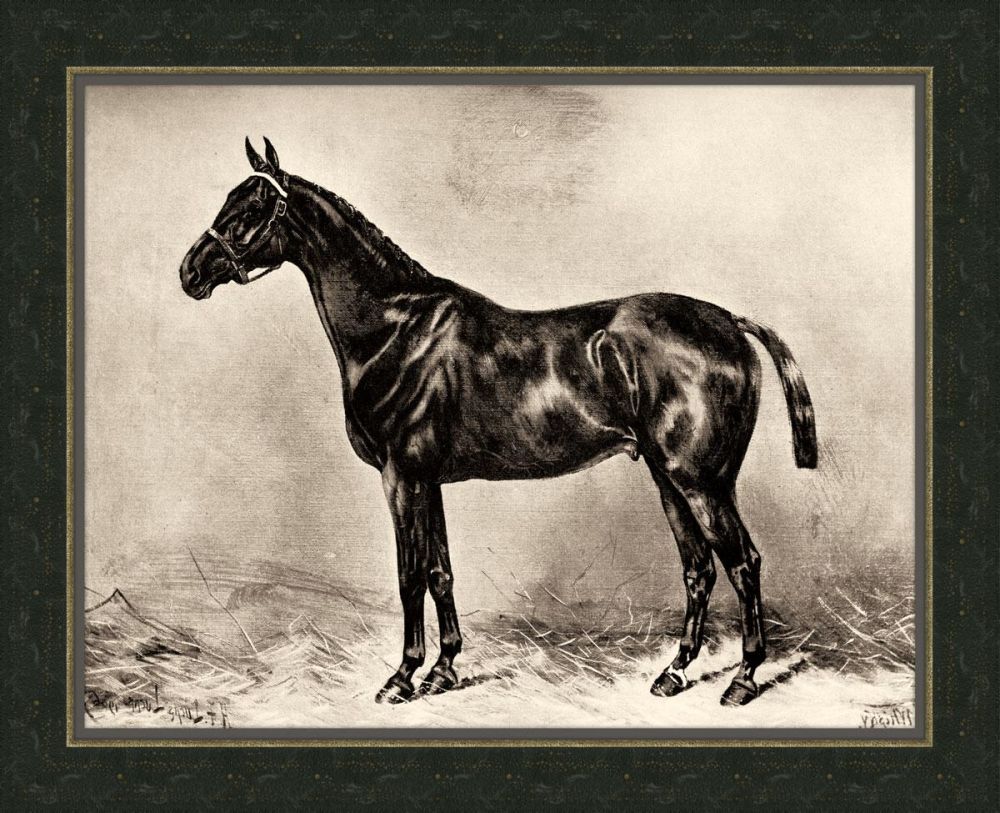 Horse I