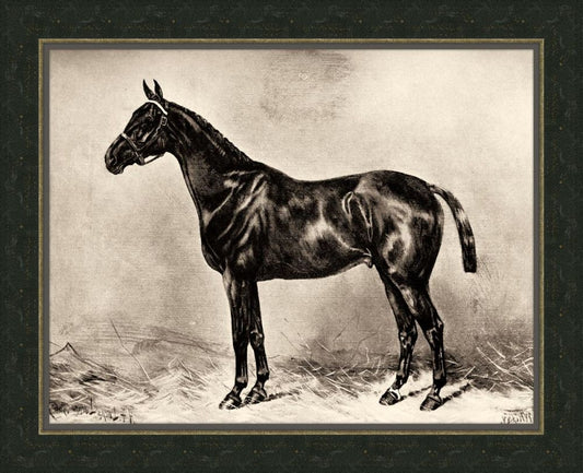 Horse I