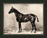 Horse I