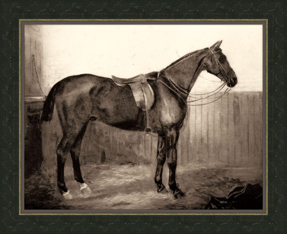 Horse III