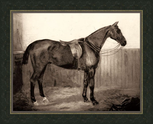 Horse III