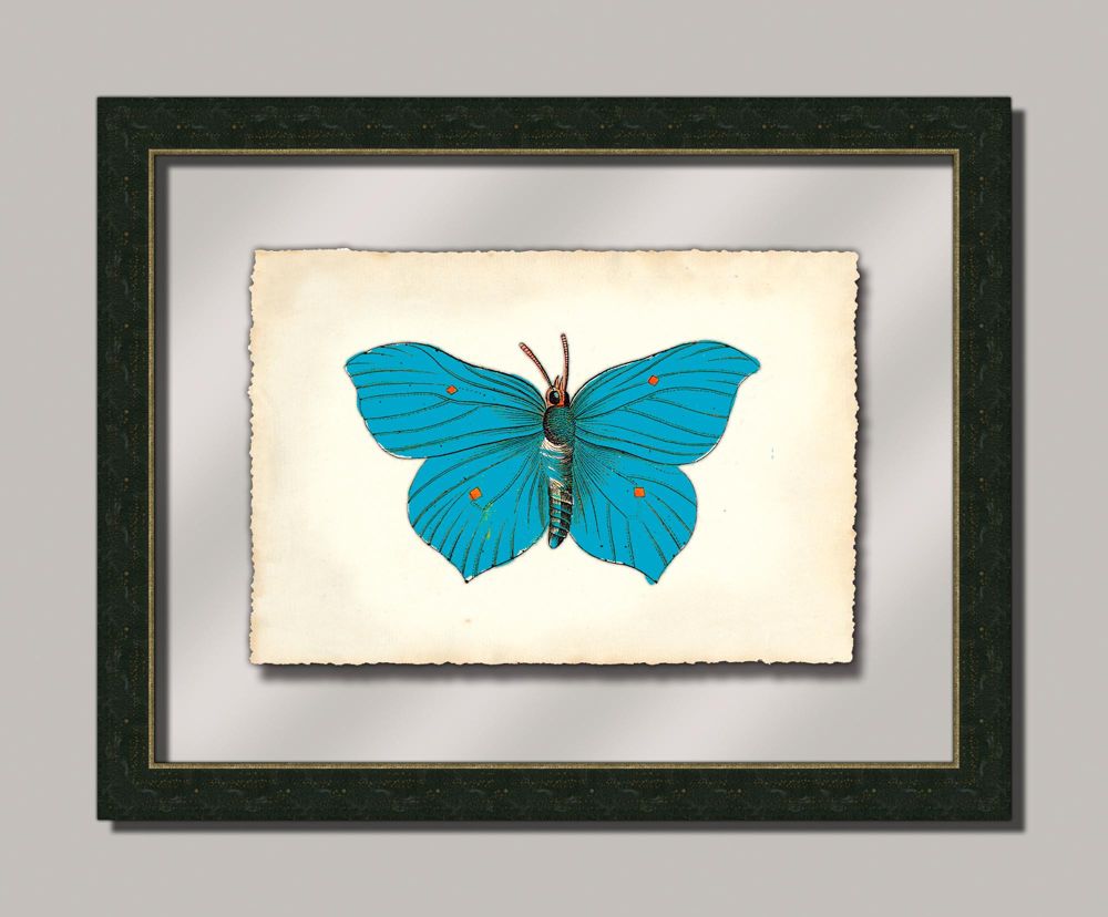 Butterfly III