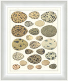 Eggs I