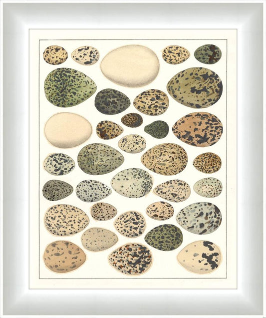 Eggs II