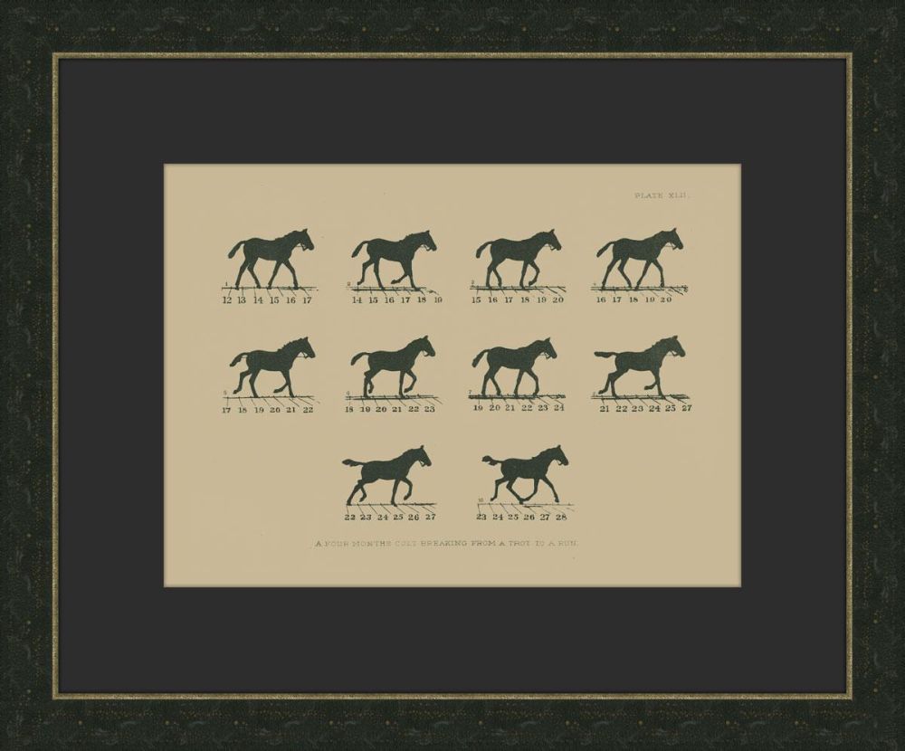 MUYBRIDGE RIDERS I