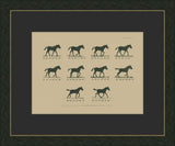 MUYBRIDGE RIDERS I
