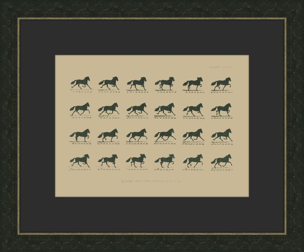Muybridge Riders III