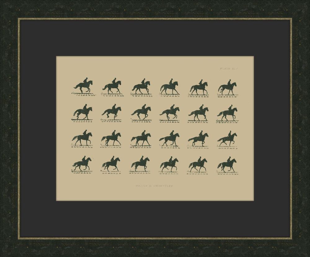 Muybridge Riders IV