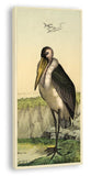 Birds in the Marsh (Canvas)