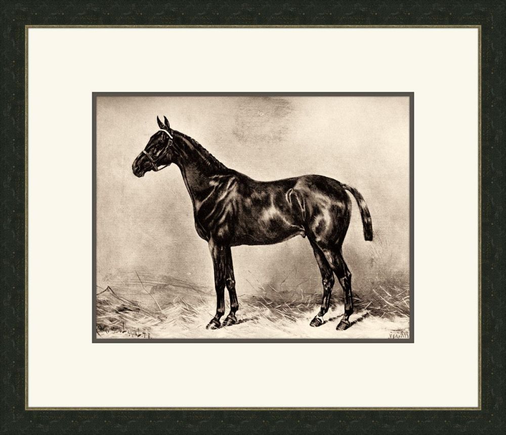 Horse I