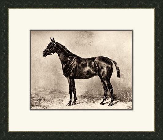 Horse I