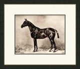 Horse I