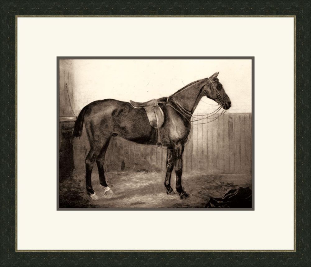 Horse III