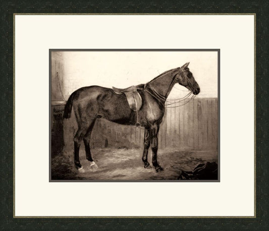 Horse III