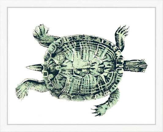 Turtle in Green