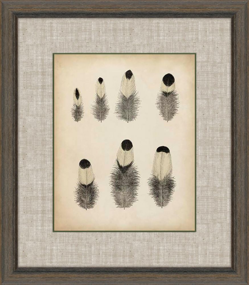 Feathers