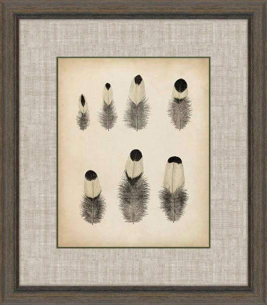 Feathers