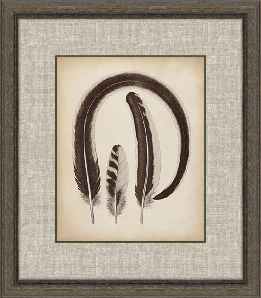 Feathers