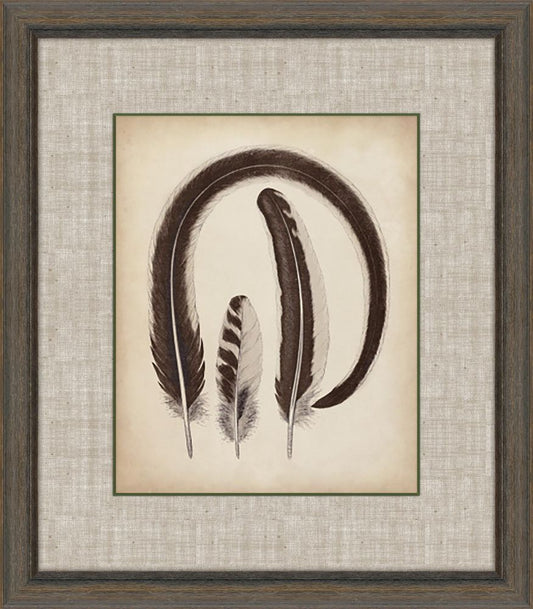 Feathers