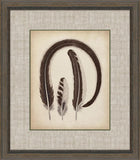 Feathers
