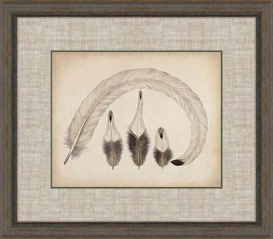 Feathers