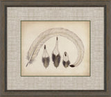 Feathers