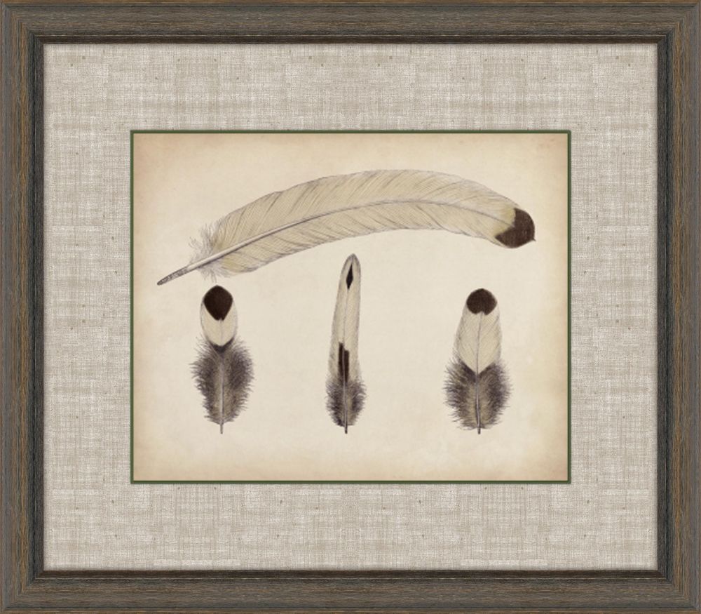 Feathers