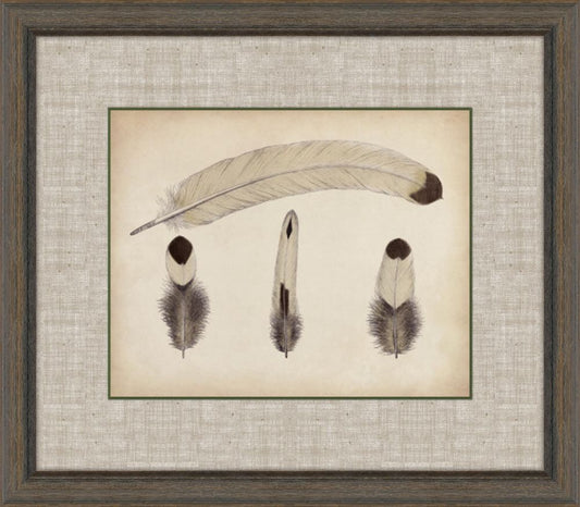 Feathers
