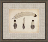 Feathers