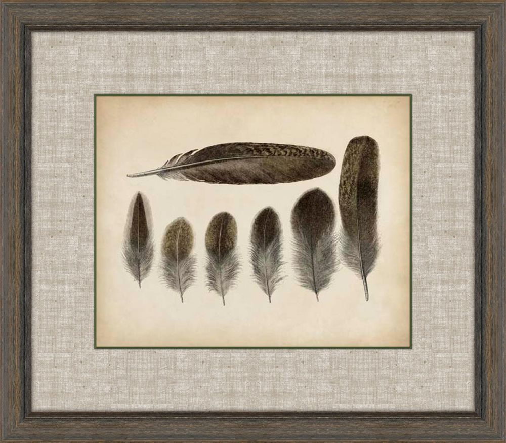 Feathers