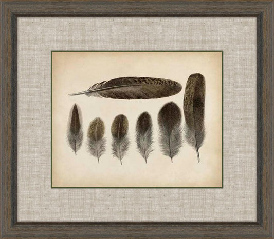 Feathers