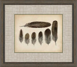 Feathers