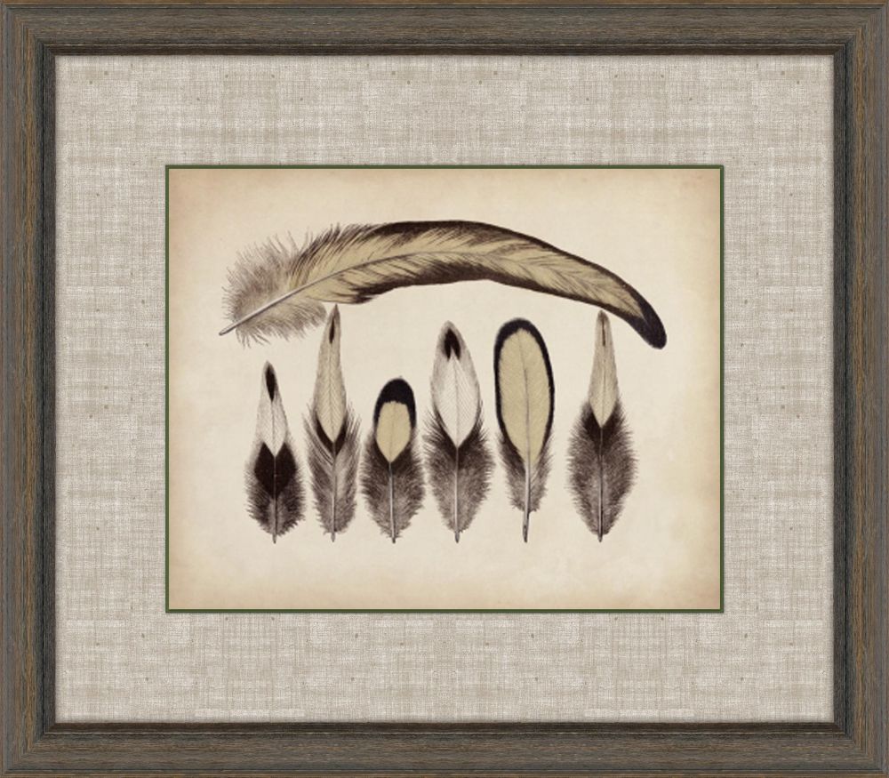Feathers