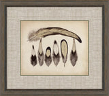Feathers