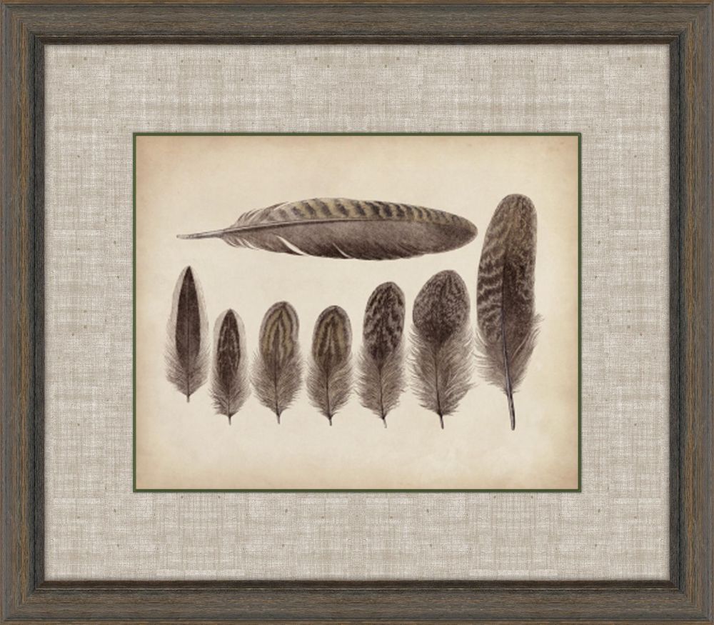 Feathers