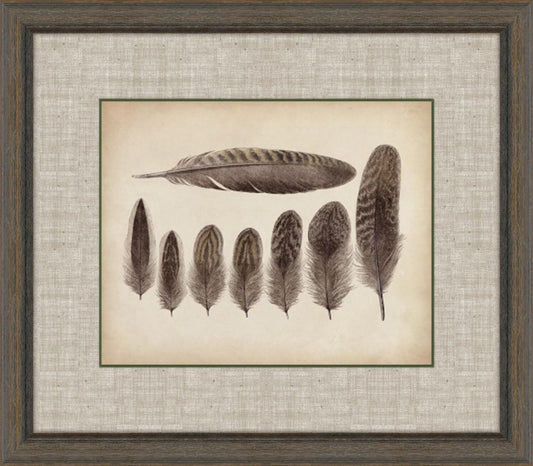 Feathers