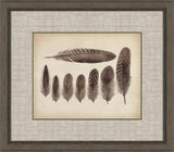 Feathers