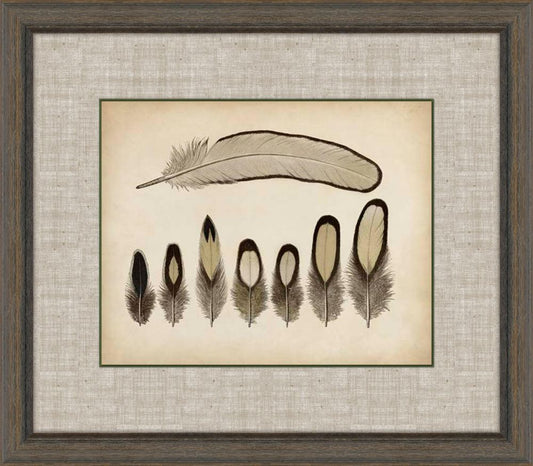 Feathers