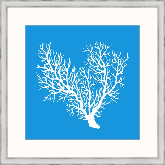 Marine Coral III