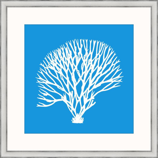 Marine Coral IV