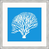 Marine Coral IV