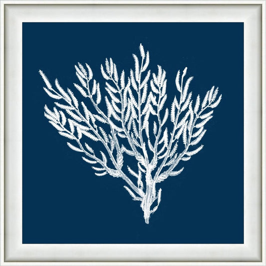 Navy Coral II