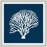 Navy Coral IV