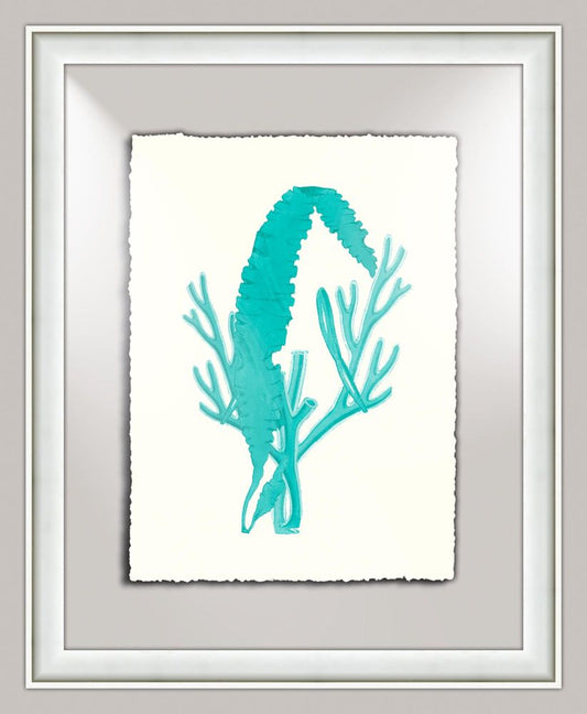 Aqua Sealife I