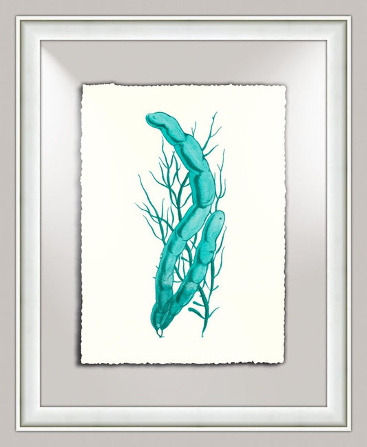 Aqua Sealife III