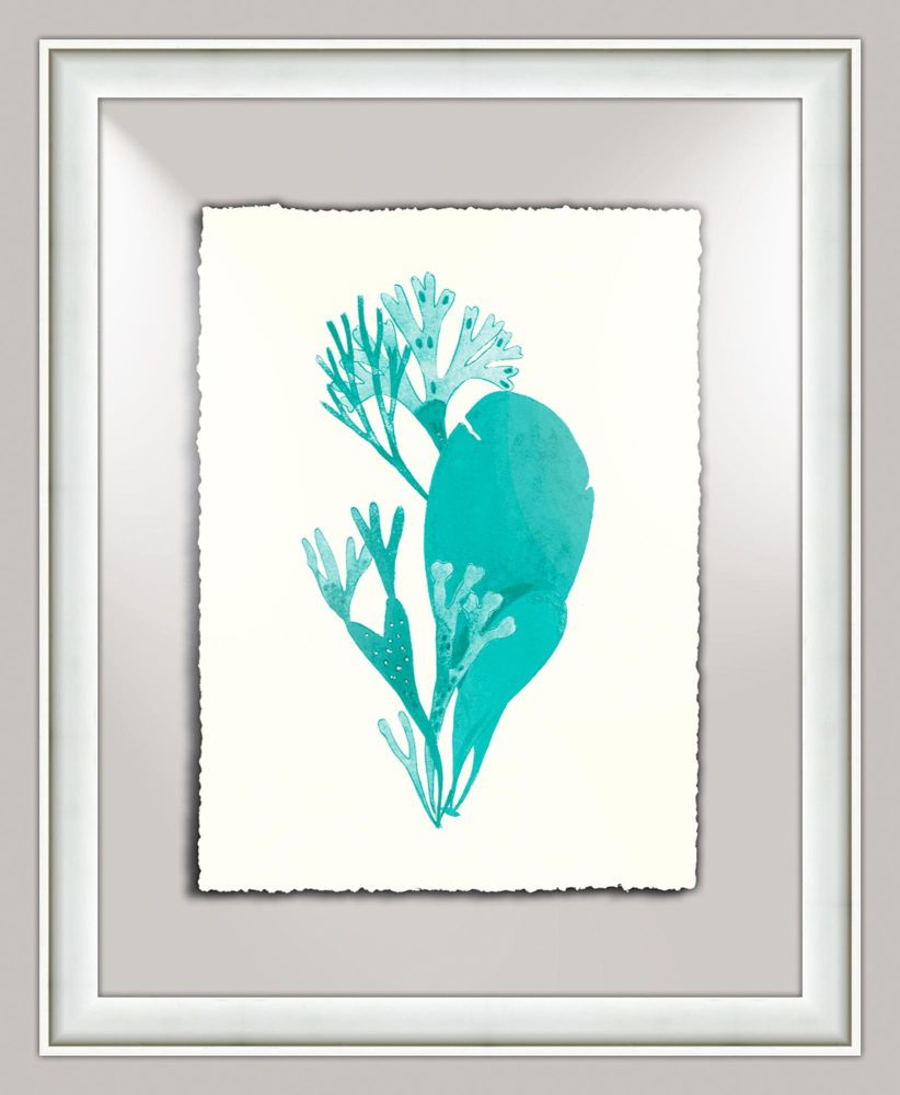 Aqua Sealife IV
