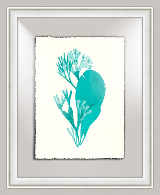 Aqua Sealife IV
